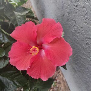 Meet your Posher, Leann